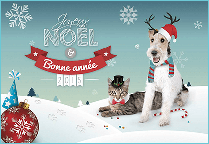 Ioupsi & Joke vous souhaitent un joyeux Noël et une bonne année 2015