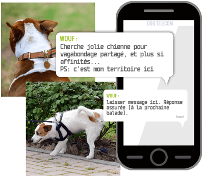 Messagerie Chiens