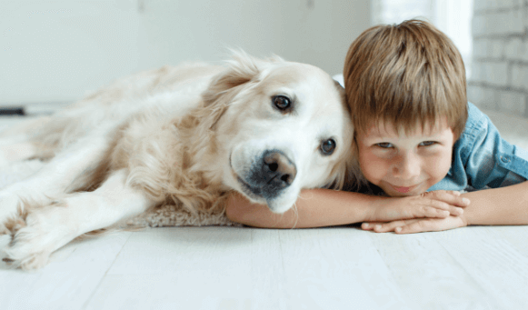 Enfant et chien
