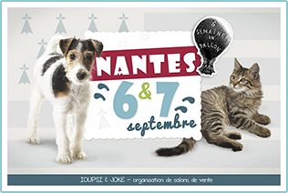 Premier salon Ioupsi & Joke, à Nantes les 6 & 7 septembre 2014