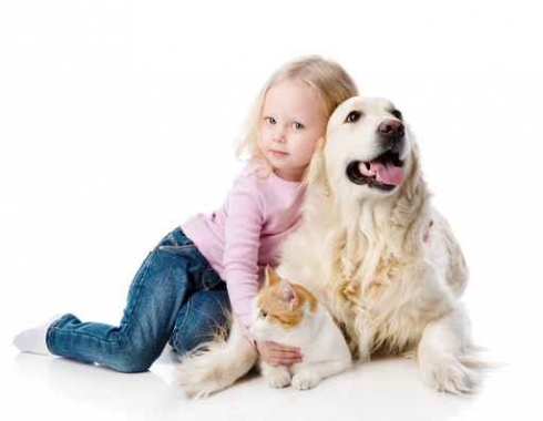 petite fille avec un chat et un golden retriever